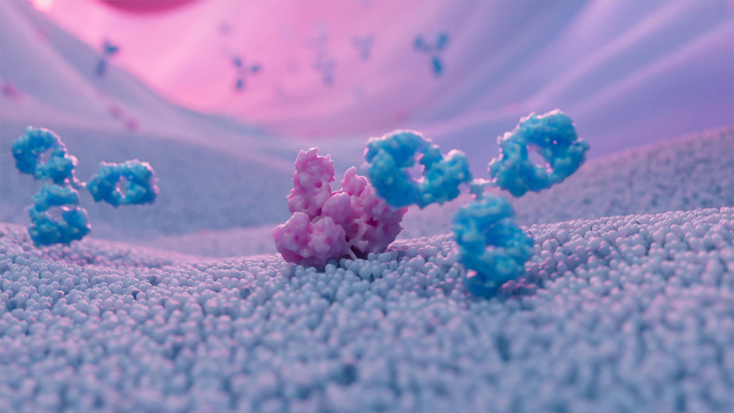 3d animation of  Blue antibody and pink protein in a large pink blood vessel.png